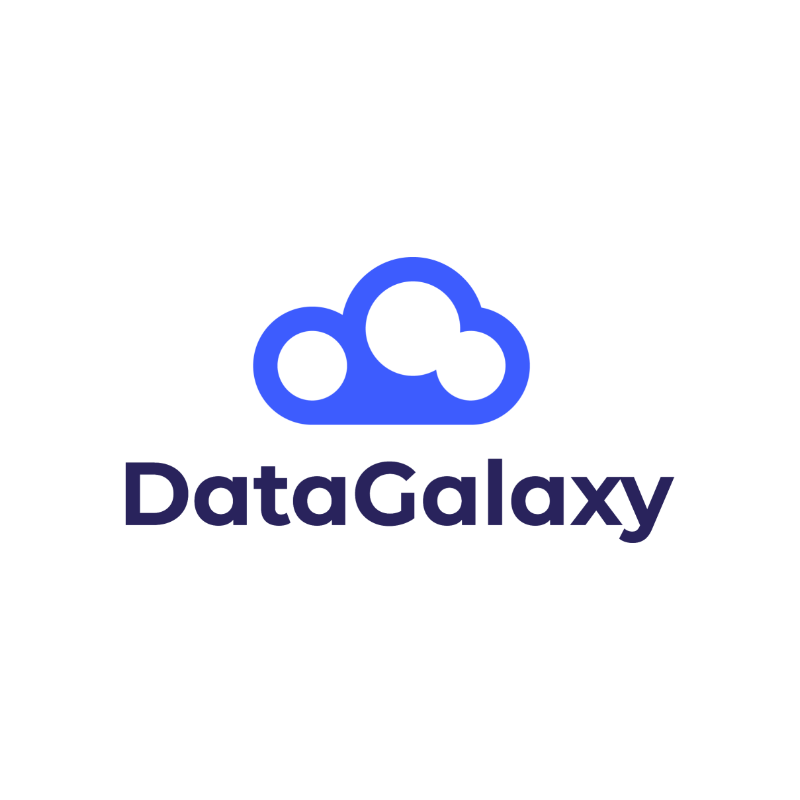 datagalaxy logo